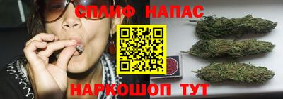 индика Ирбит