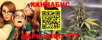 индика Ирбит