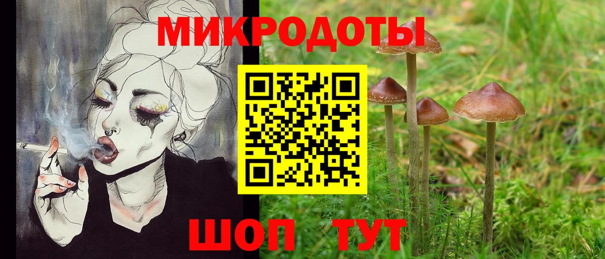 Галлюциногенные грибы GOLDEN TEACHER  Вход с VPN  Красный Сулин 